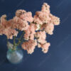 dry flowers, bouquet of pink statice