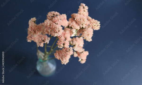 dry flowers, bouquet of pink statice